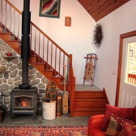 The Catskill Cabin Elka Park Ngoại thất bức ảnh