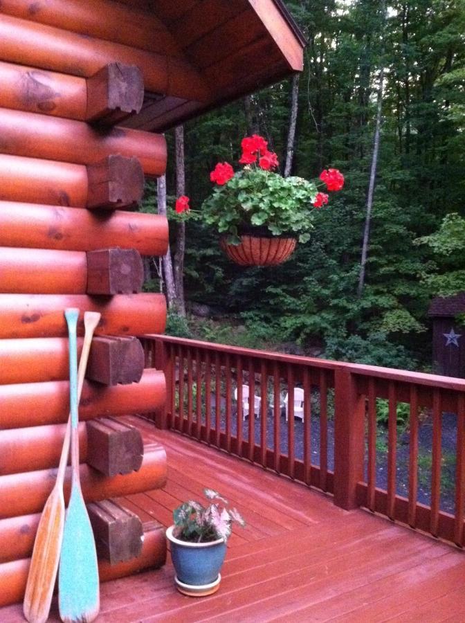 The Catskill Cabin Elka Park Ngoại thất bức ảnh